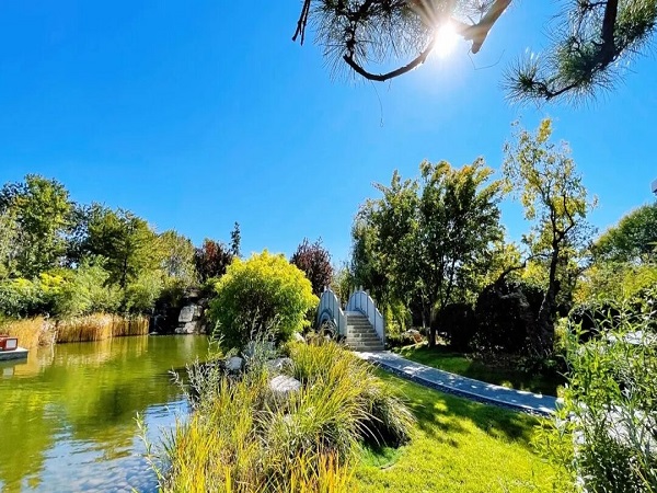 佳兆业铂域行政公寓