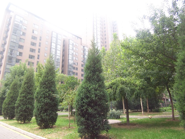 ShiQiao Apartments-Nestled in the Bustling CBD, Embrace a Slow Urban Lifestyle